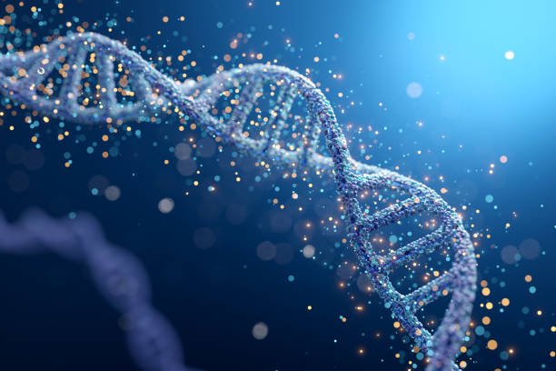 DNA Fingerprinting