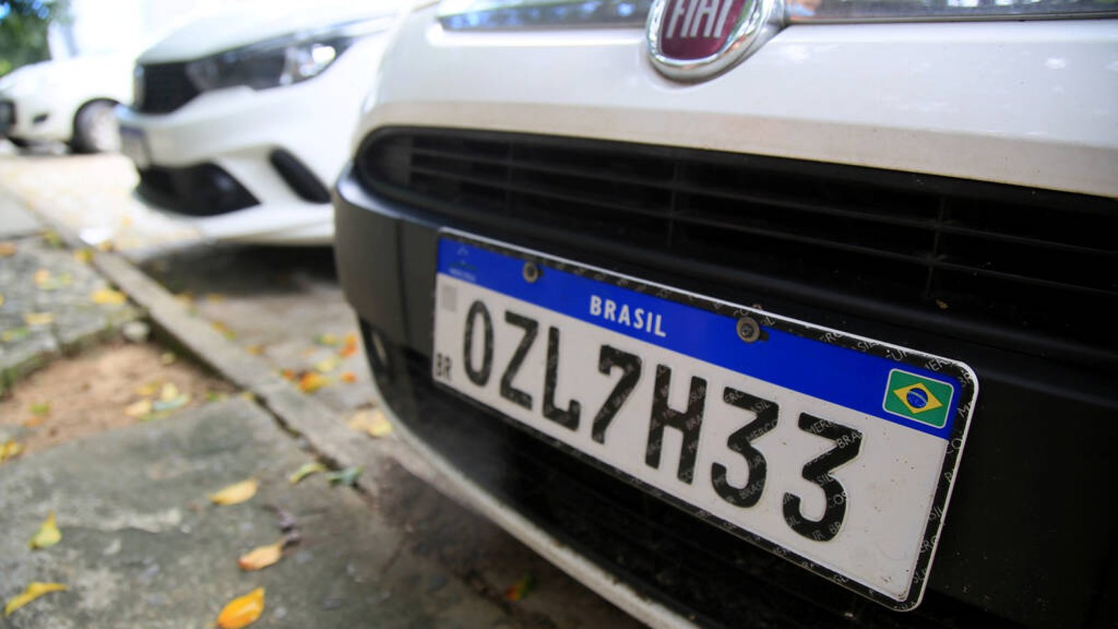 Vehicle Identification Number Forensics